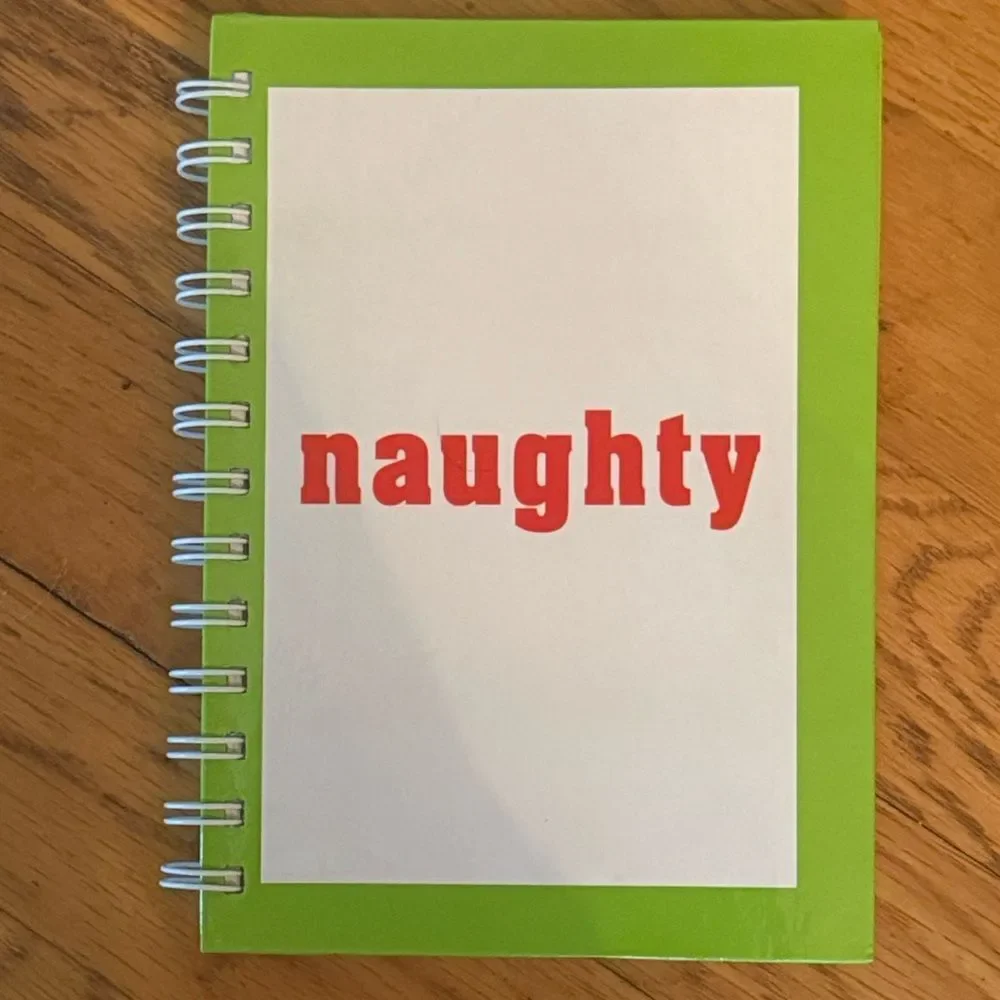 “Naughty” Spiral Blank Journal Notebook!
